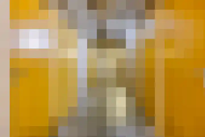 Kastelenplein 103 Eindhoven thumbnail 23