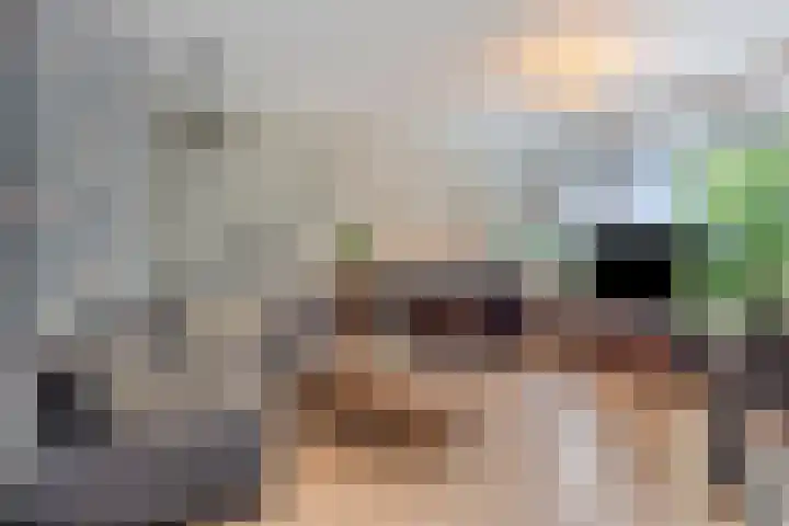 Kastelenplein 106 Eindhoven thumbnail 14
