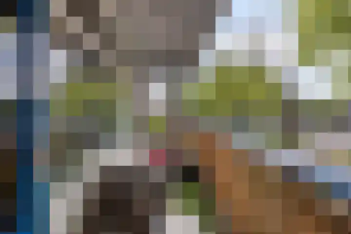 Kastelenplein 106 Eindhoven thumbnail 18