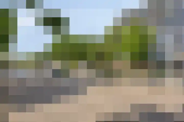 Kastelenplein 106 Eindhoven thumbnail 26