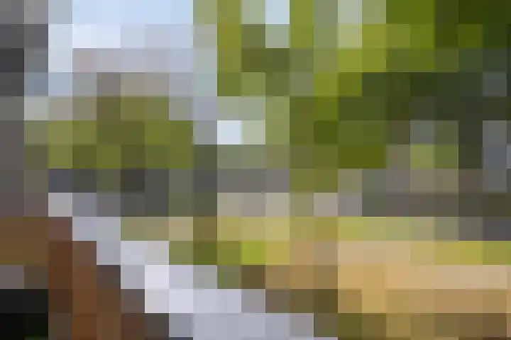 Kastelenplein 106 Eindhoven thumbnail 6