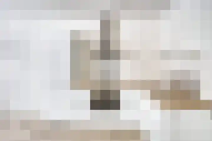Kastelenplein 143 Eindhoven thumbnail 15