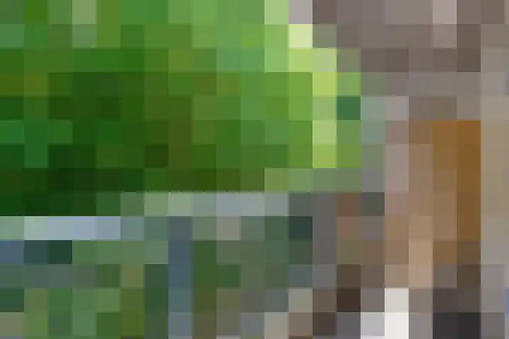 Kastelenplein 143 Eindhoven thumbnail 28