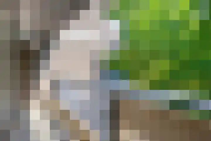Kastelenplein 143 Eindhoven thumbnail 30