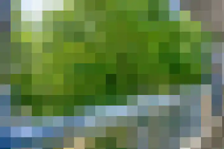 Kastelenplein 143 Eindhoven thumbnail 8