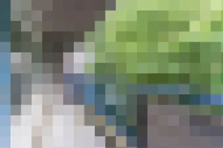 Kastelenplein 145 Eindhoven thumbnail 21