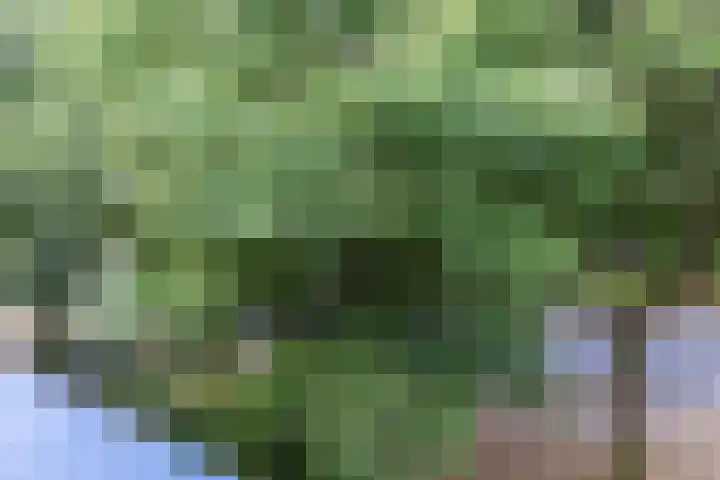 Kastelenplein 145 Eindhoven thumbnail 23