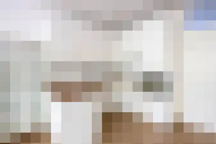 Kastelenplein 146 Eindhoven thumbnail 19