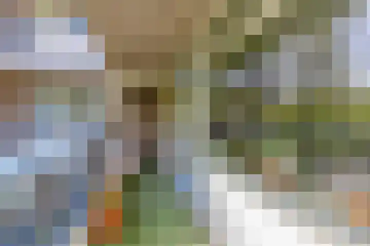 Kastelenplein 146 Eindhoven thumbnail 20