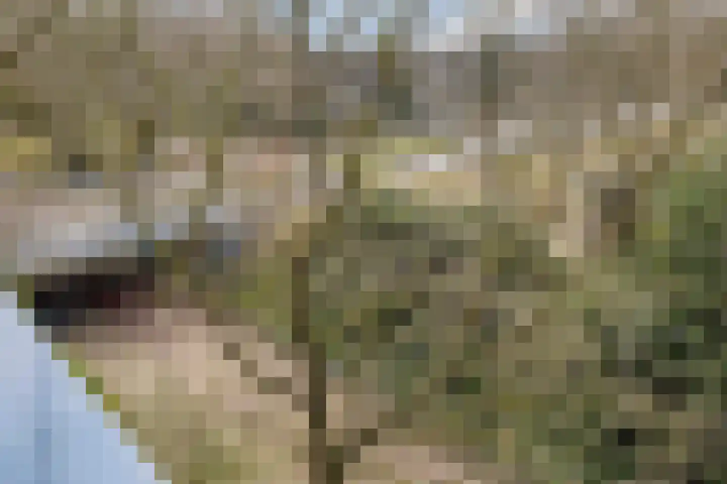 Kastelenplein 148 Eindhoven thumbnail 21