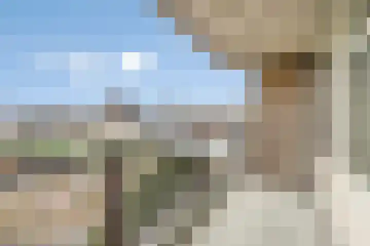 Kastelenplein 25 Eindhoven thumbnail 16
