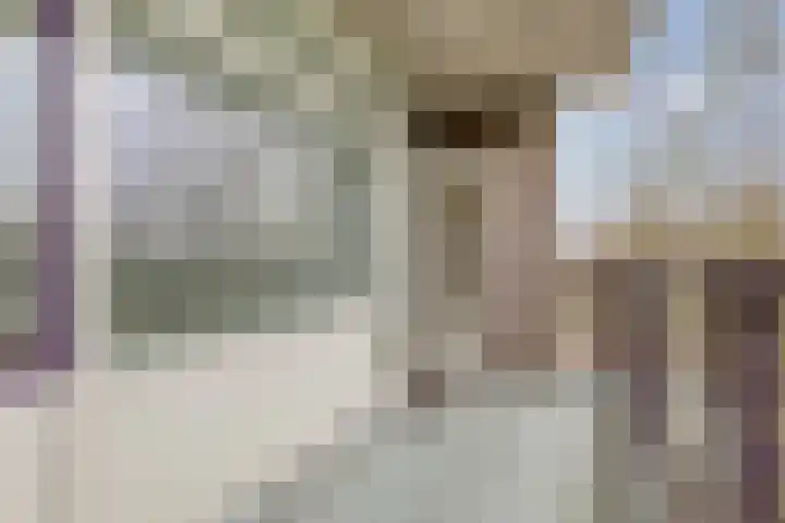 Kastelenplein 25 Eindhoven thumbnail 18