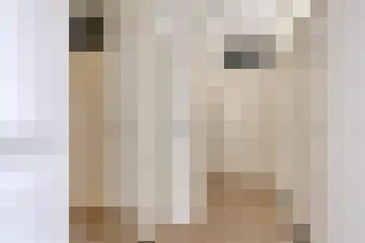 Kastelenplein 25 Eindhoven thumbnail 19
