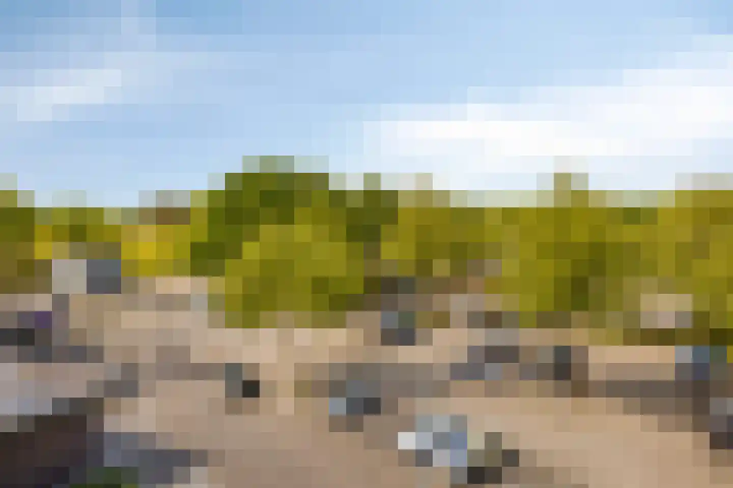 Kastelenplein 26 Eindhoven thumbnail 31