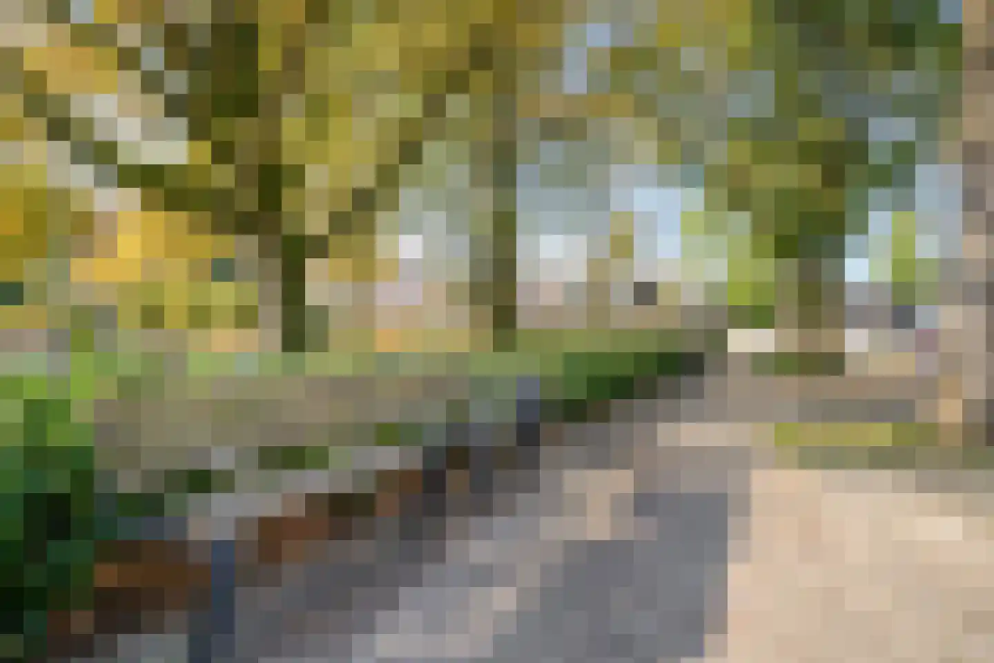 Kastelenplein 33 Eindhoven thumbnail 34