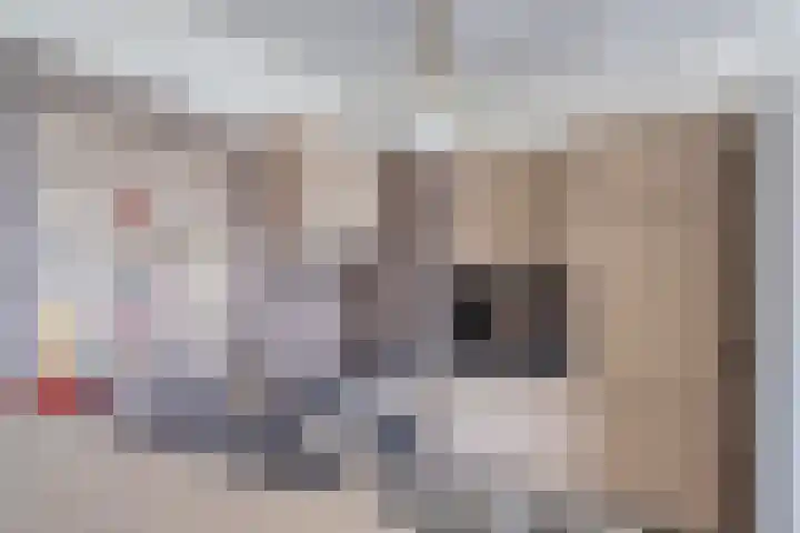 Kastelenplein 36 Eindhoven thumbnail 17