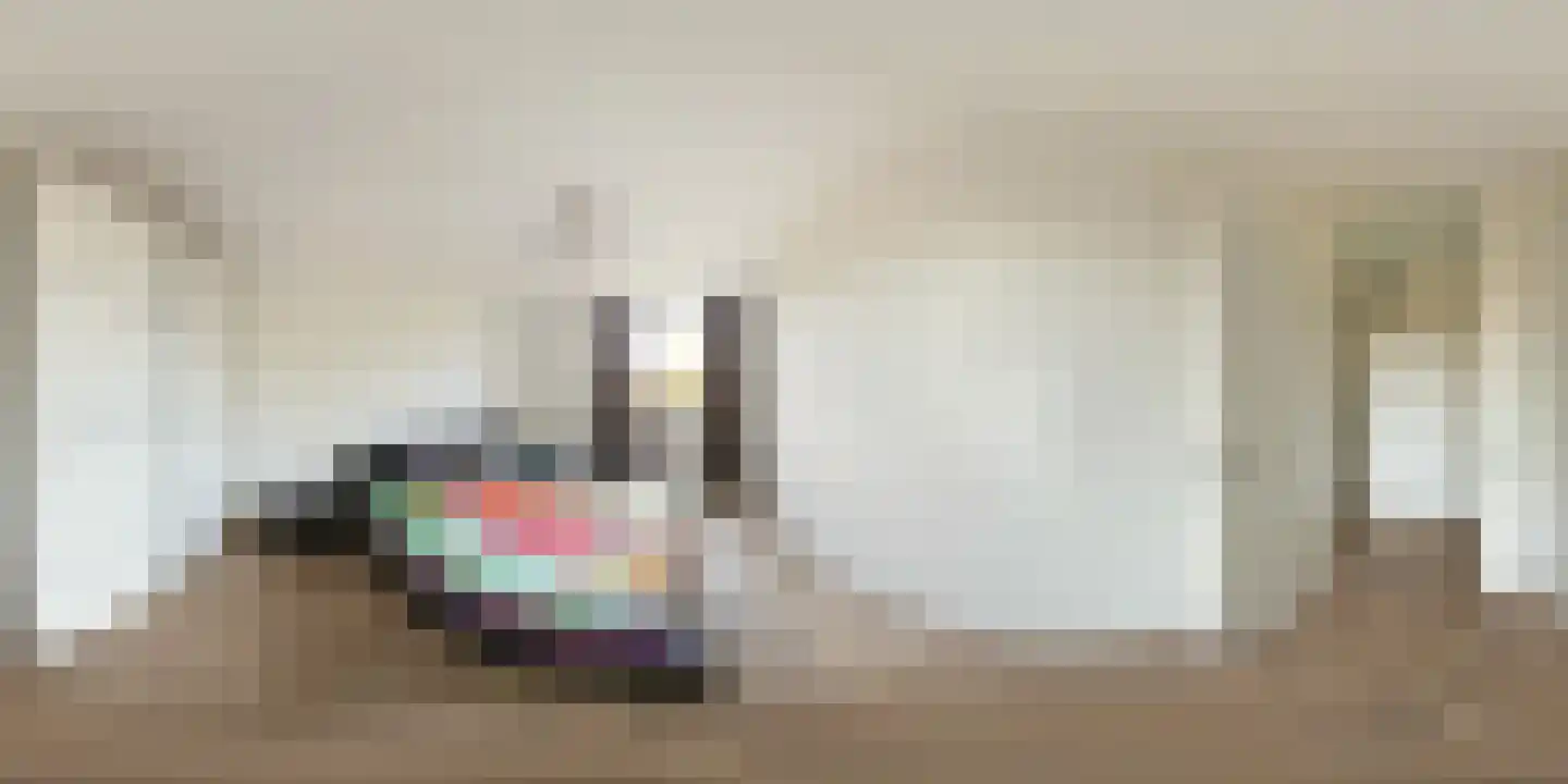 Kastelenplein 5 Eindhoven thumbnail 31