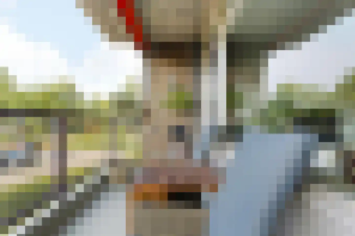 Kastelenplein 5 Eindhoven thumbnail 7