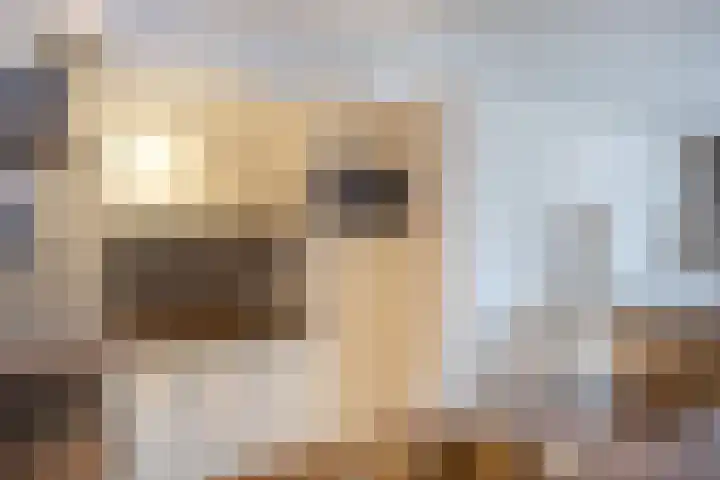 Kastelenplein 53 Eindhoven thumbnail 14