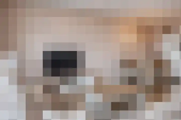 Kastelenplein 53 Eindhoven thumbnail 19