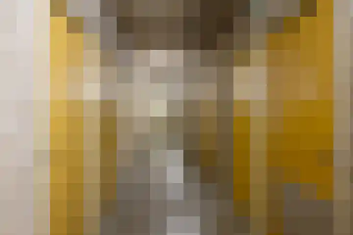 Kastelenplein 53 Eindhoven thumbnail 31