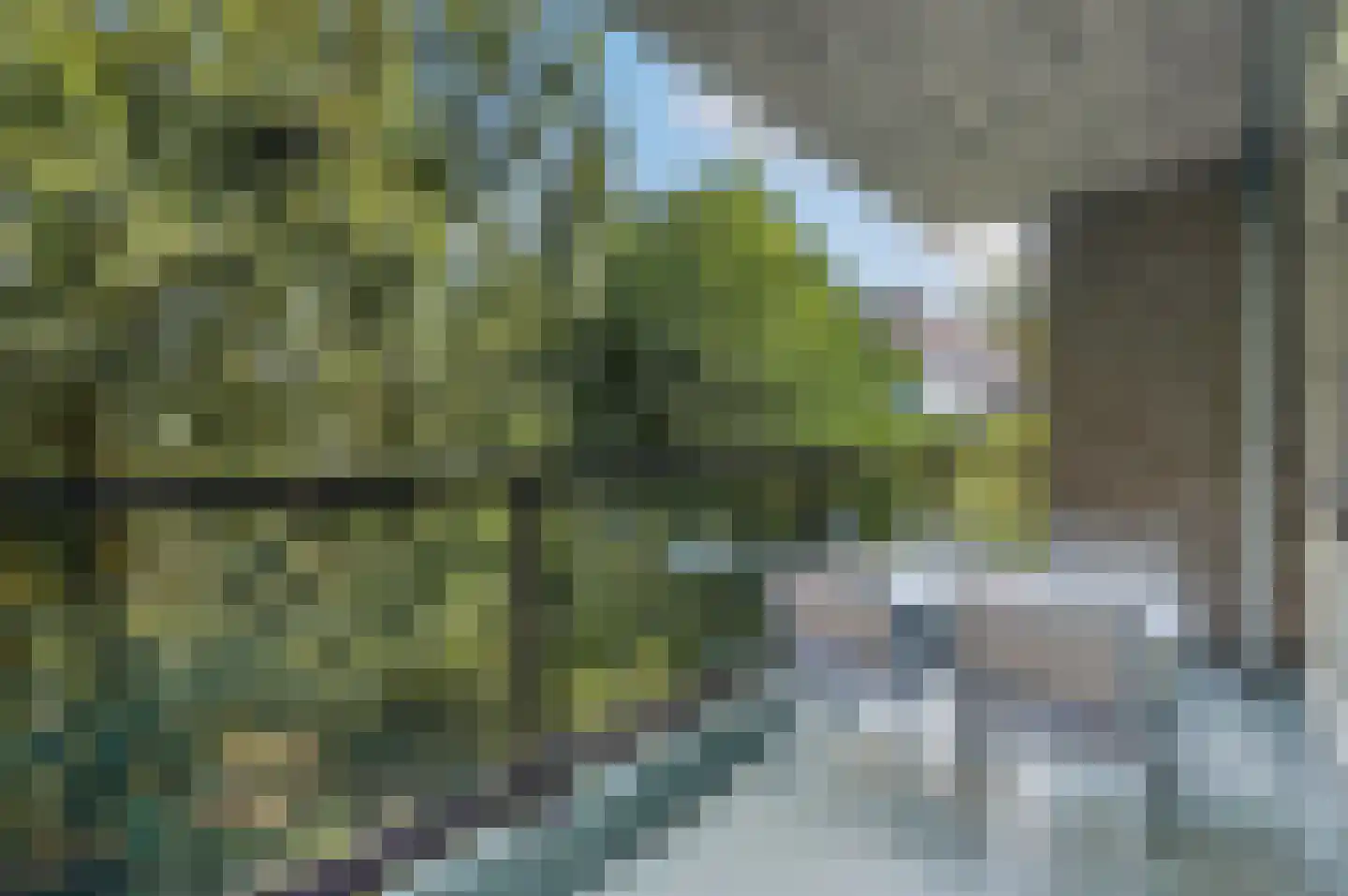 Kastelenplein 6 Eindhoven thumbnail 21