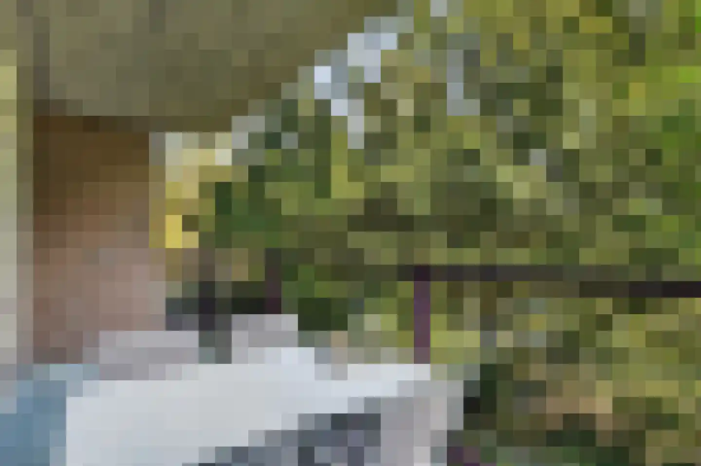 Kastelenplein 6 Eindhoven thumbnail 22