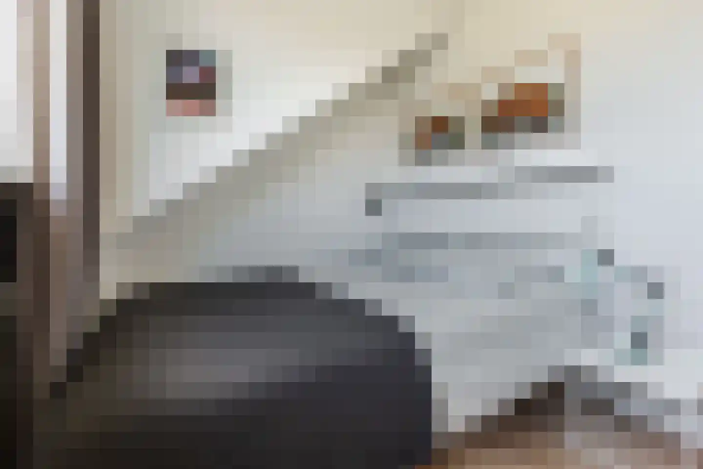 Kastelenstraat 115 3 Amsterdam thumbnail 15