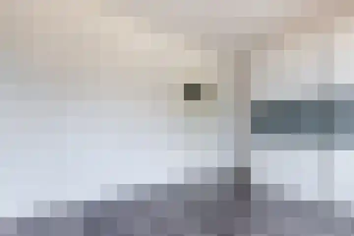 Kastelenstraat 255 2 Amsterdam thumbnail 13