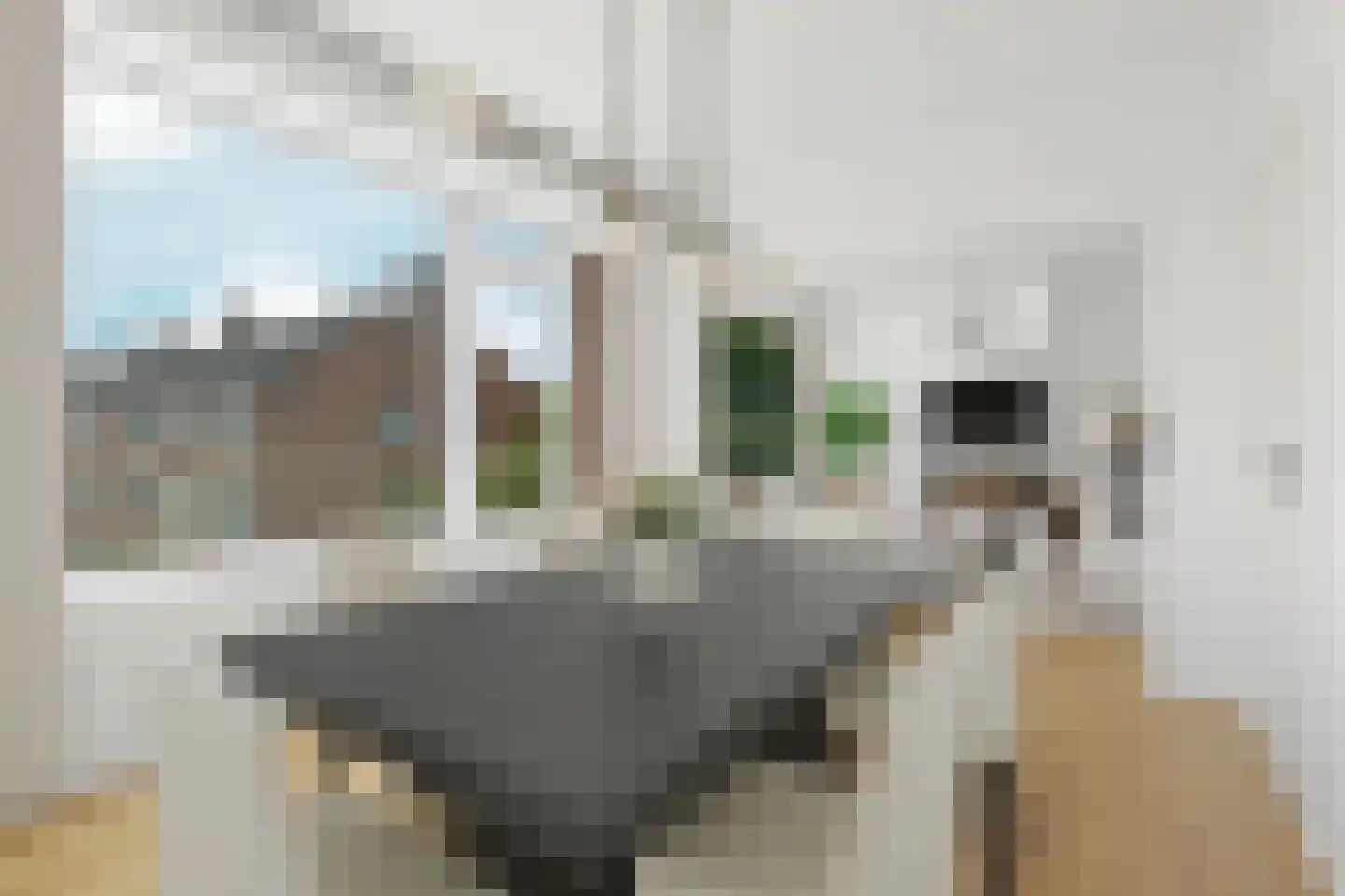 Kastelenstraat 297 2 Amsterdam thumbnail 4
