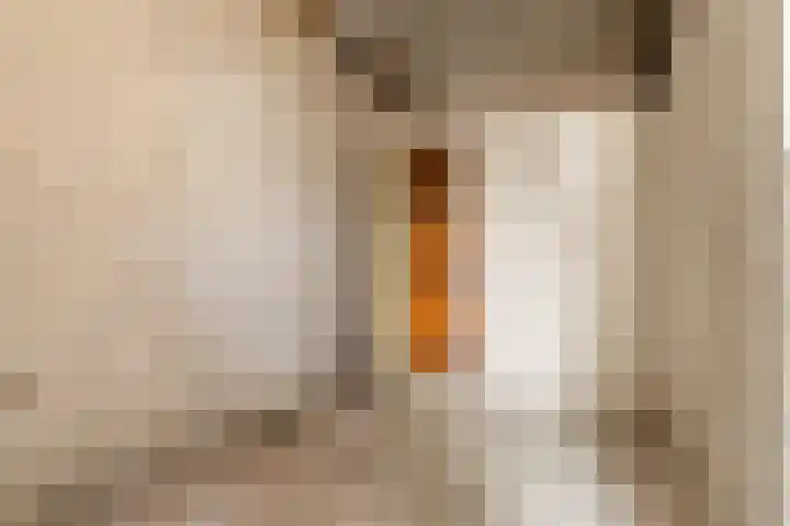 Kastelenstraat 307 2 Amsterdam thumbnail 33