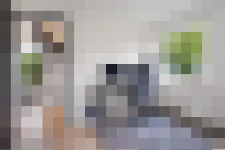 Kastelenweg 28 Sittard thumbnail 16