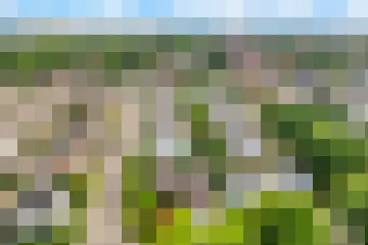 Kastelenweg 28 Sittard thumbnail 28
