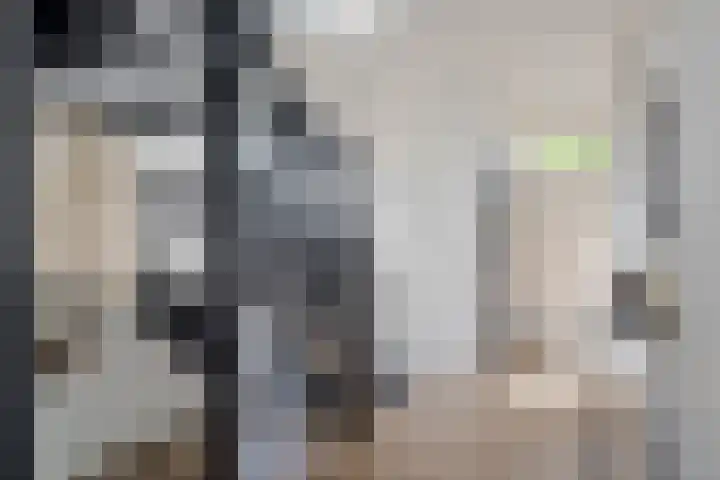Kastelenweg 28 Sittard thumbnail 6