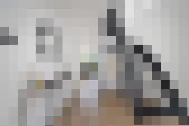 Kastelenweg 28 Sittard thumbnail 7