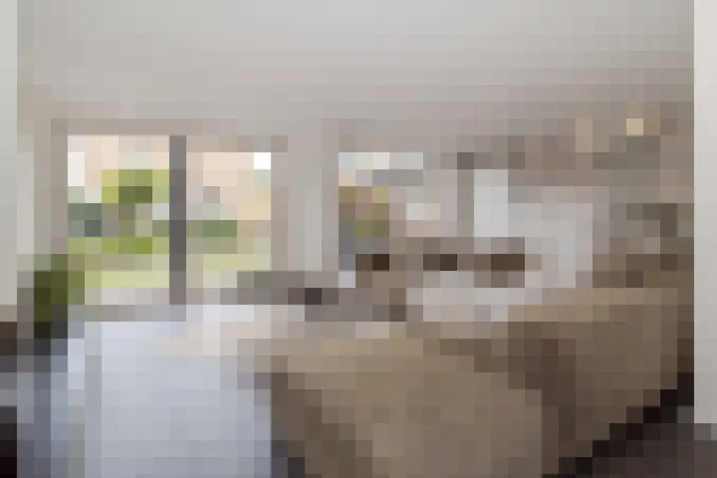 Kastelenweg 42 Sittard thumbnail 19