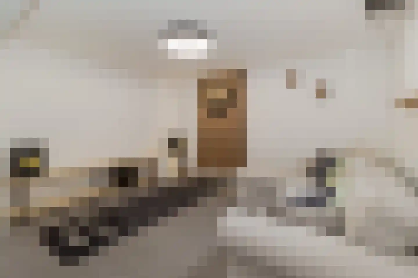 Kastelenweg 42 Sittard thumbnail 38
