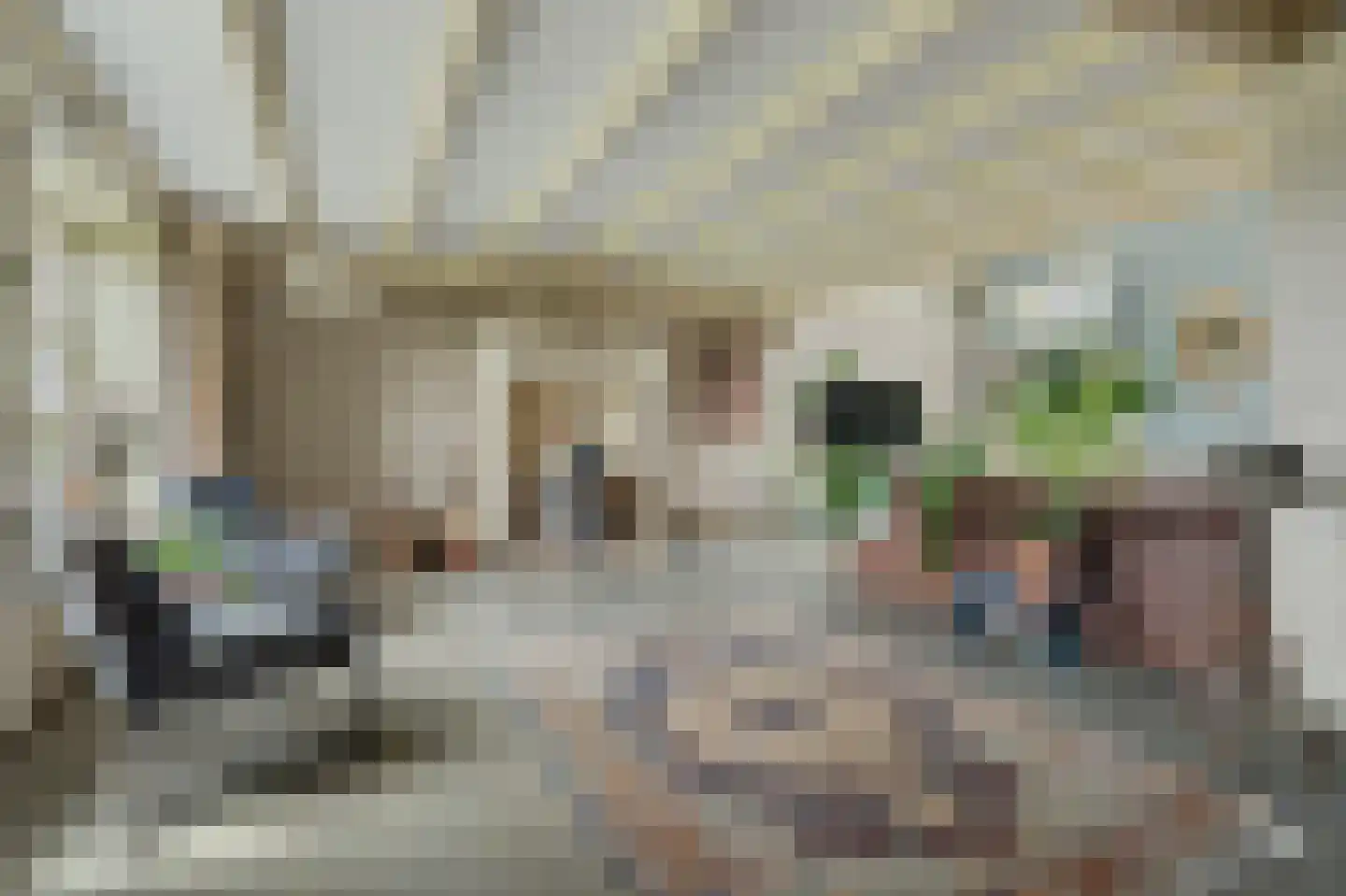 Kastelijnsweg 4 Sint-Maartensdijk thumbnail 10