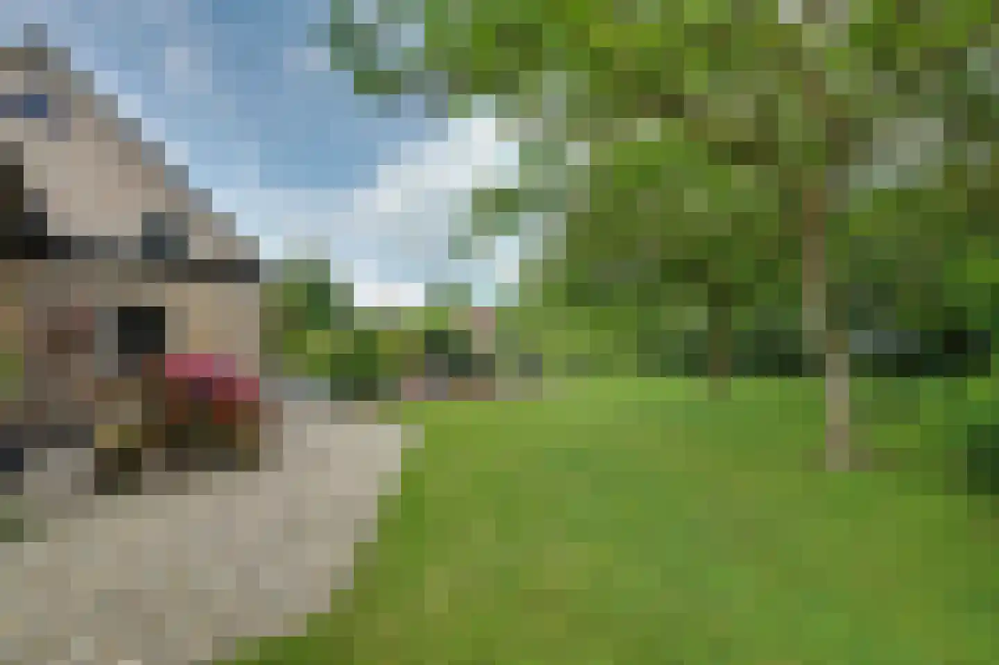 Kastelijnsweg 4 Sint-Maartensdijk thumbnail 62