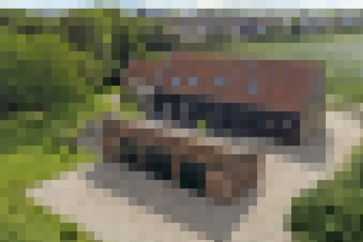 Kastelijnsweg 4 Sint-Maartensdijk thumbnail 79