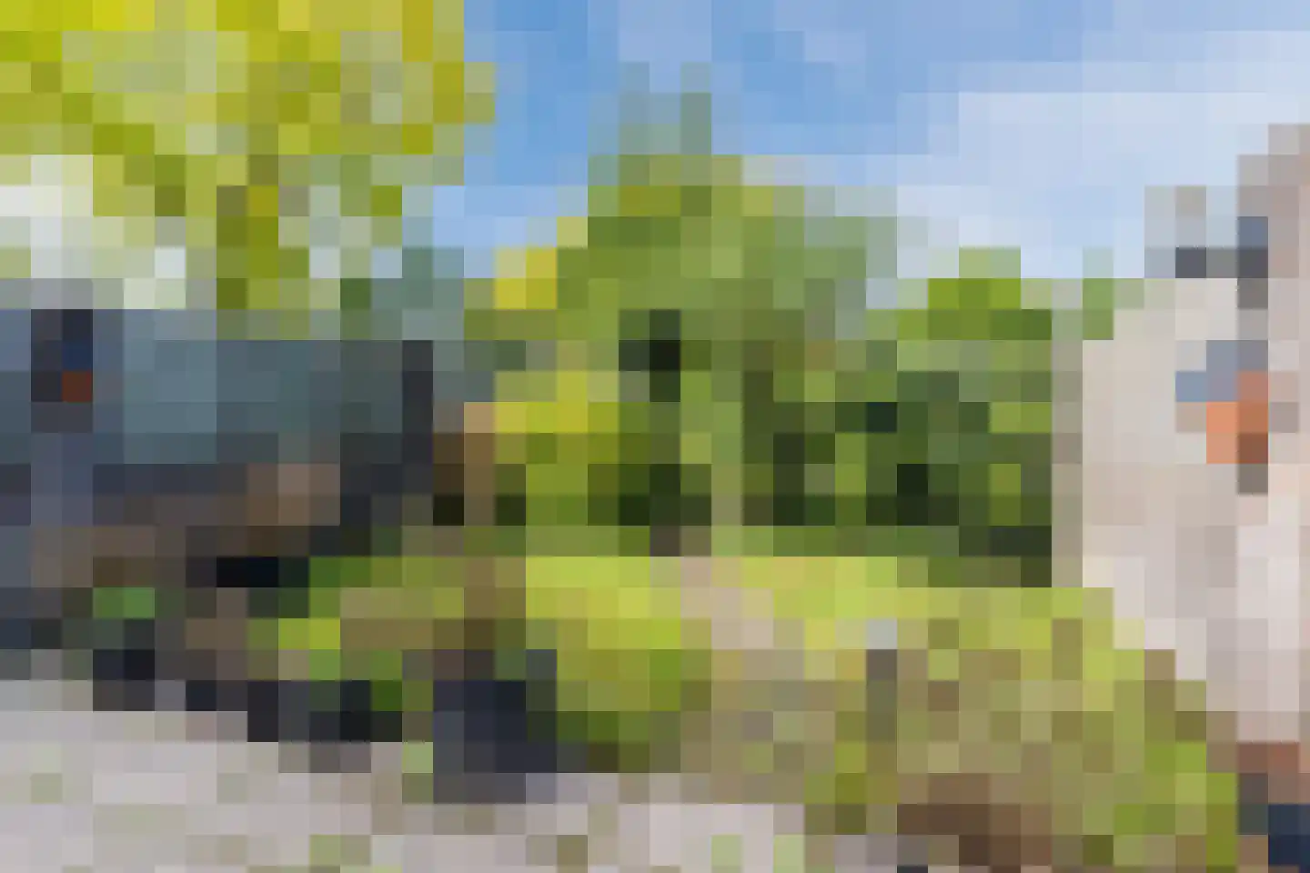 Kasterenlaan 25 Tilburg thumbnail 23