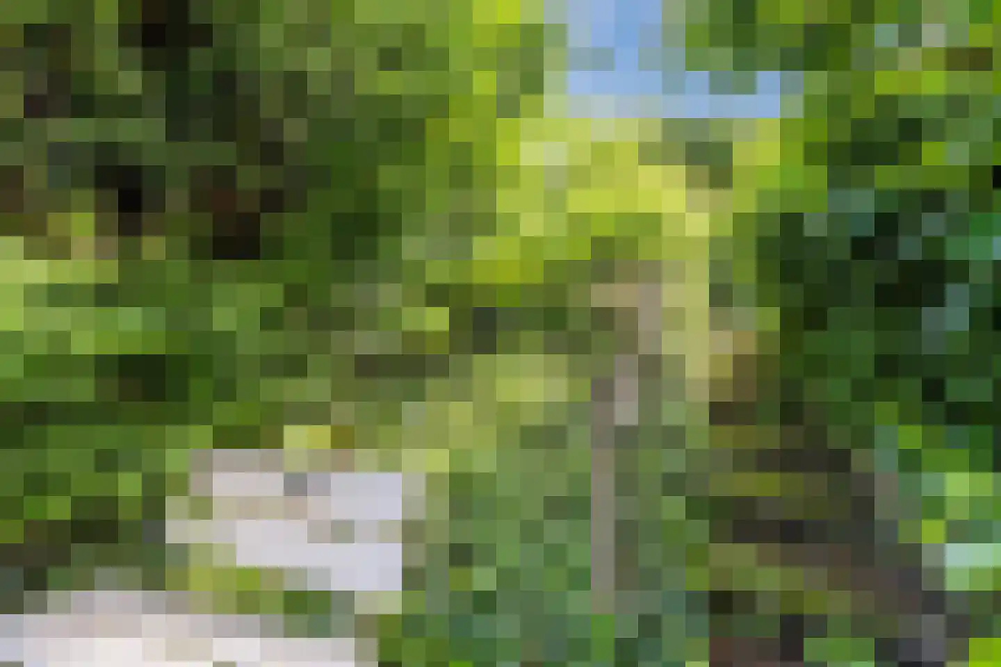Kasterenlaan 25 Tilburg thumbnail 25