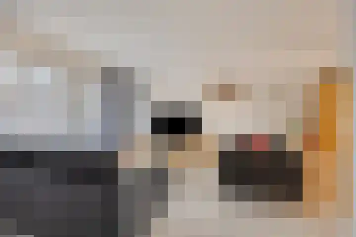 Kasterenlaan 58 Tilburg thumbnail 12