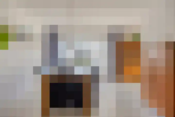 Kasterenlaan 58 Tilburg thumbnail 17