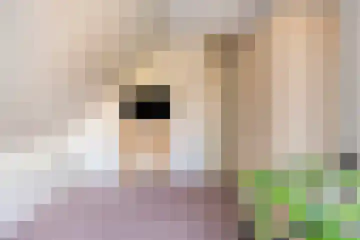 Kasterenlaan 58 Tilburg thumbnail 27