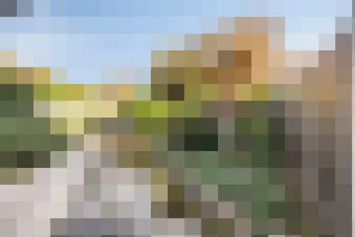 Kasterenlaan 58 Tilburg thumbnail 35