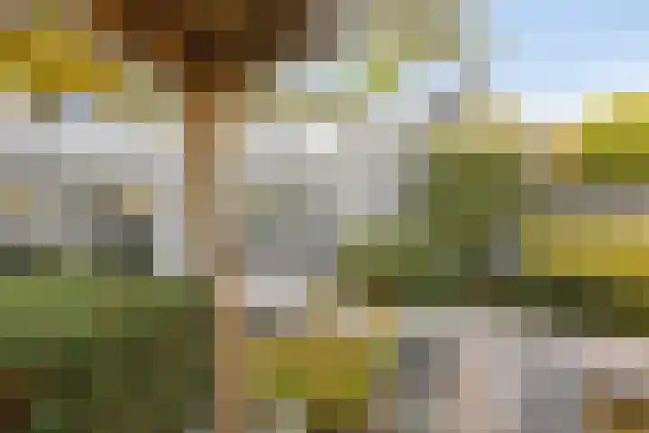Kasterenlaan 58 Tilburg thumbnail 37