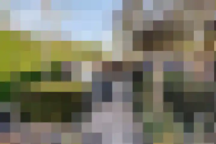 Kasterenlaan 58 Tilburg thumbnail 38