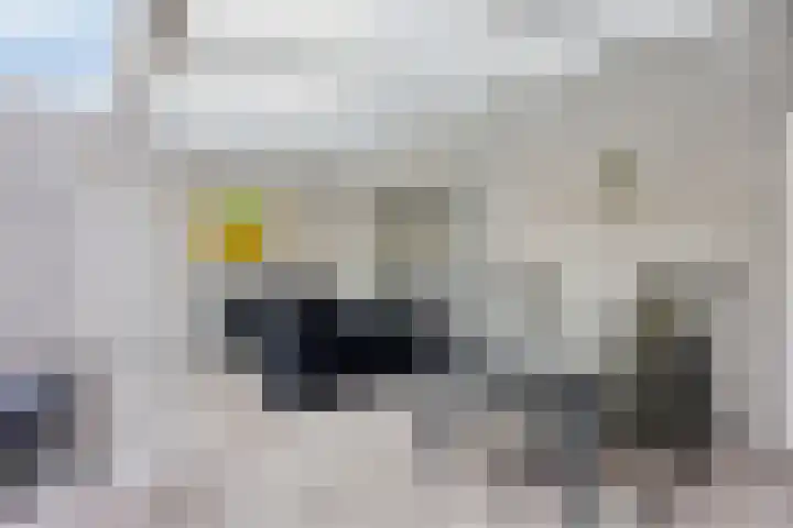 Kasterenlaan 58 Tilburg thumbnail 39