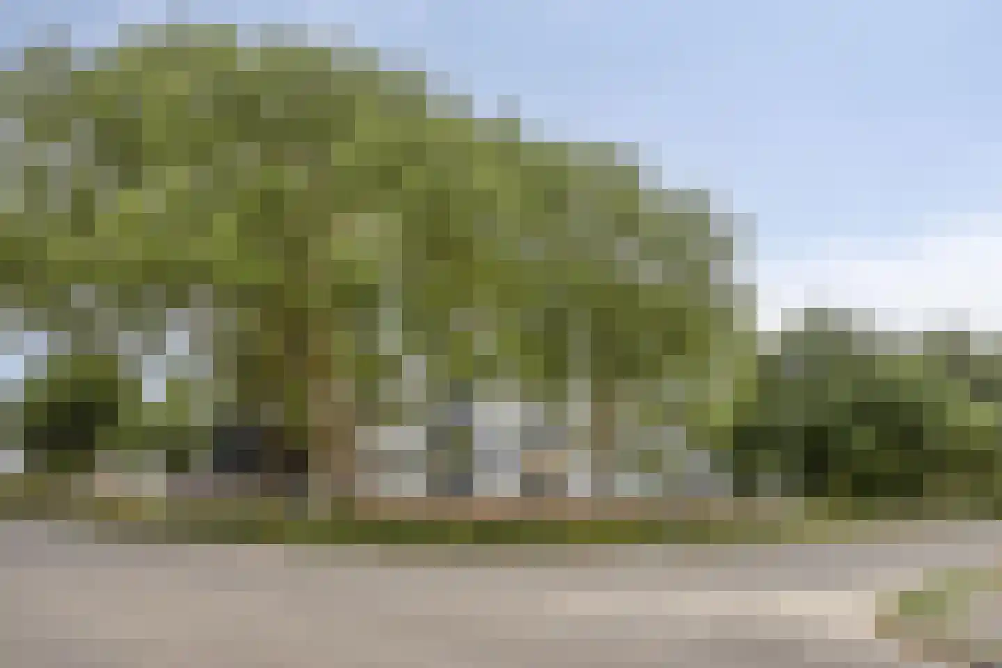 Kasterleestraat 100 Breda thumbnail 26